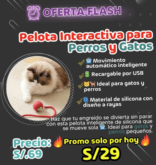 Pelota Interactiva para Perros y Gatos