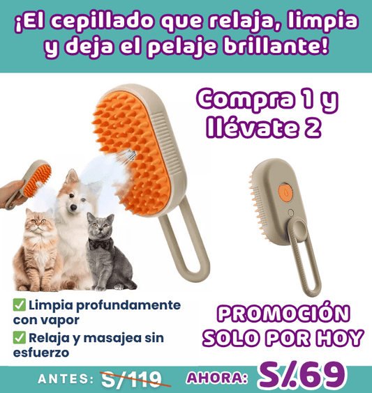 Cepillo con vaporizador 2 en 1: limpia y relaja
